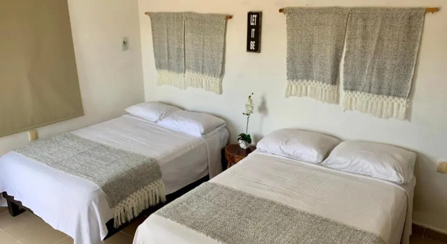 Четырёхместный номер Standard Casa Delia Hotel Downtown