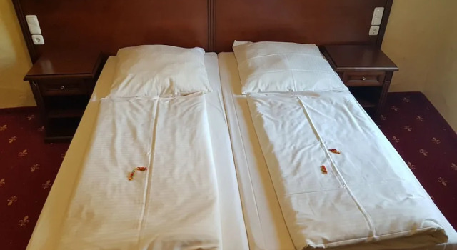 Двухместный номер Standard Hotel Medaillon