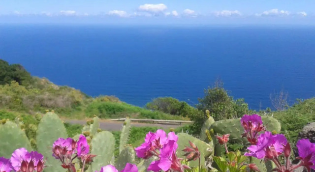 Коттедж Finca El Lance