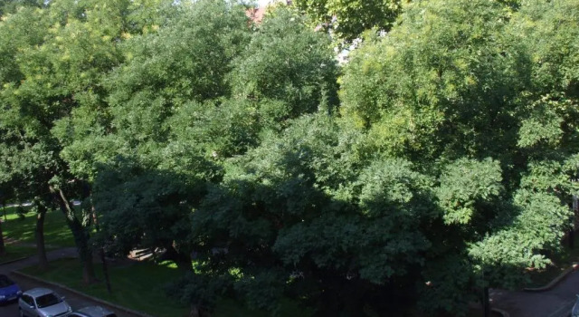 Апартаменты Appartement St. Leonhard