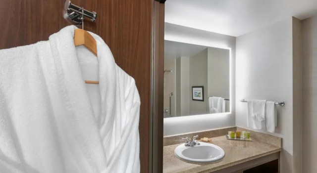 Двухместный номер Executive Hilton Vancouver Metrotown
