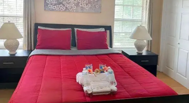 Modern Executive Master Bedroom