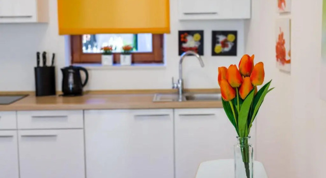 Студия Evergreen Apartments Zadar