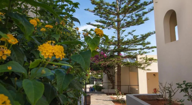 Одноместный номер Economy Anastasia Hotel Stalis