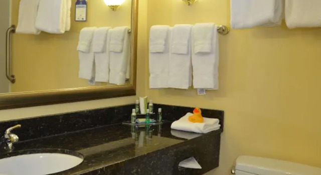 Номер Standard Best Western PLUS Vineyard Inn and Suites