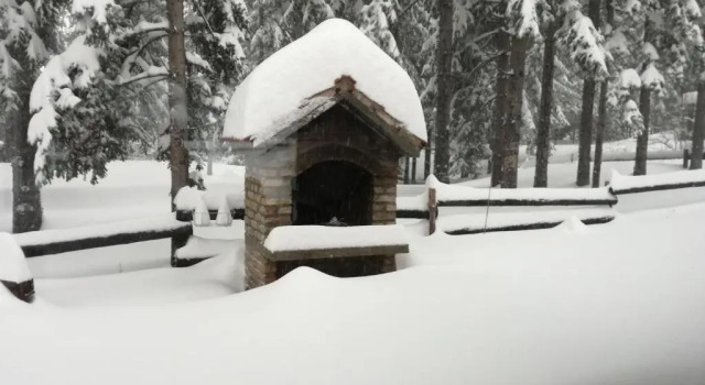 Коттедж Holiday Home Jela