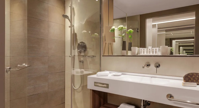 Люкс Premier Hotel Stadt Lörrach