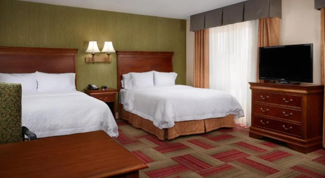 Двухместная студия Hampton Inn & Suites Roswell