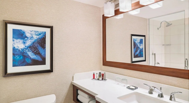 Четырёхместный номер Standard с видом на бассейн Marriott Chicago O’Hare