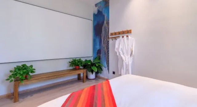 Люкс Business Luyating Hotel (Xiong'an New District Baiyangdian Station)