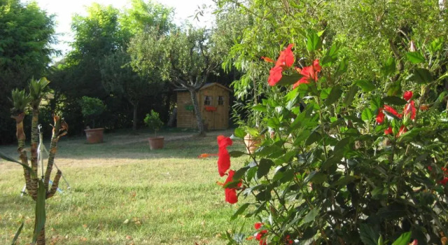 Люкс Casa dei Pini Country House