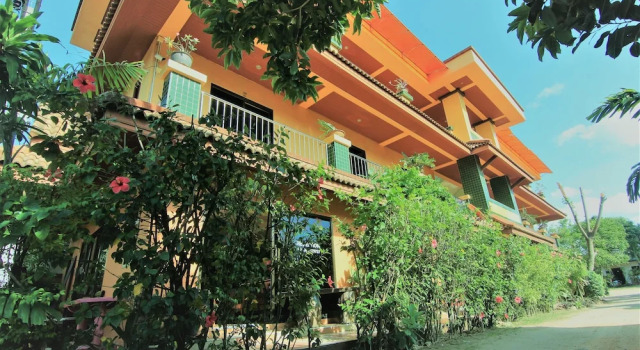 Hibiscus Samui