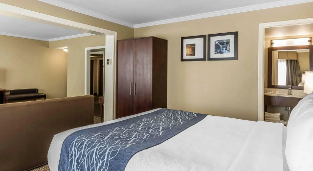 Люкс Comfort Inn Sunnyvale - Silicon Valley