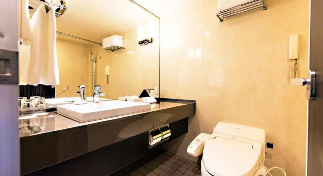 Двухместный номер Deluxe ANA Crowne Plaza Chitose by IHG