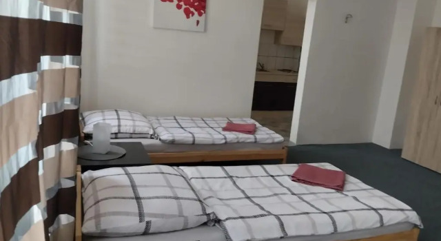 Deluxe værelse Pension Eberhart in Treuen