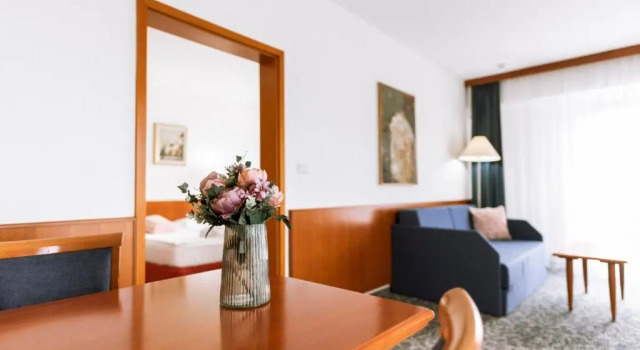 Апартаменты Hotel Toplice
