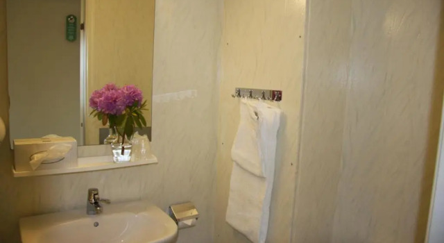 Одноместный номер Standard Westland Hotel