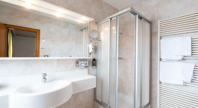 Полулюкс с балконом и с видом на горы Hotel Reipertingerhof