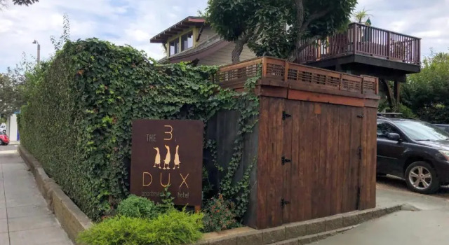 Студия Standard The 3 Dux