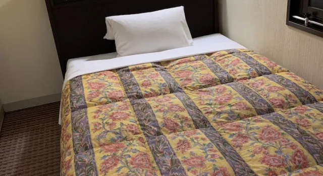 Номер Standard Kanazawa Frexhotel