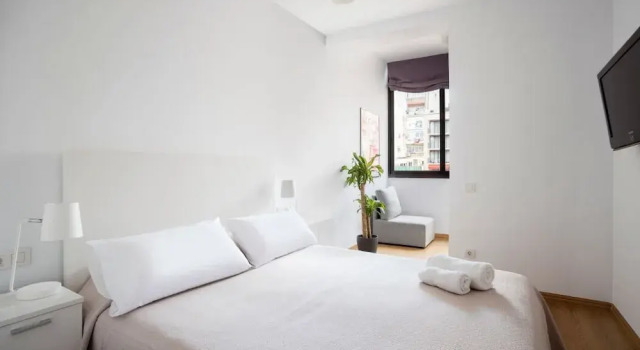 Апартаменты Superior Centric Apartment Universitat