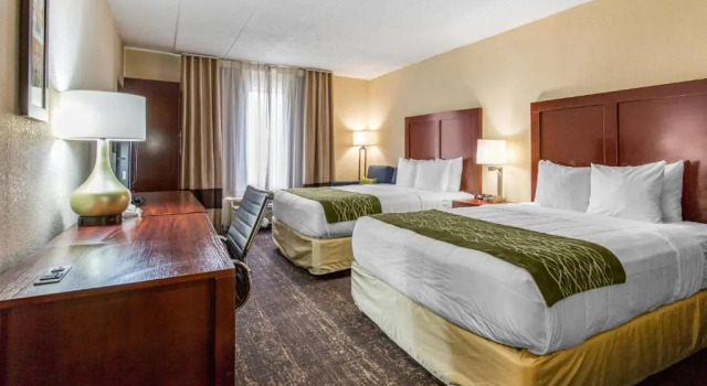 Четырёхместный номер Standard Comfort Inn College Park North