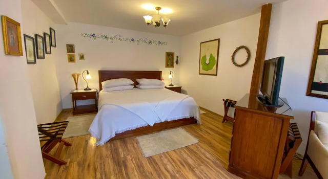 Deluxe single cameră Hostal Sakti