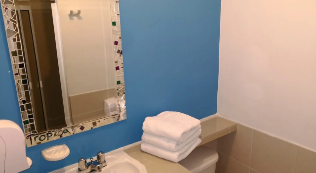 Deluxe suite med haveudsigt Tropica Hotel Boutique - Hostel