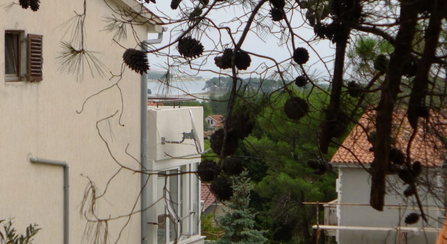 Apartment for six Persons With Three Bedrooms and Internet