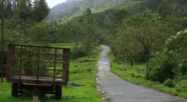 Vagamon Paradise