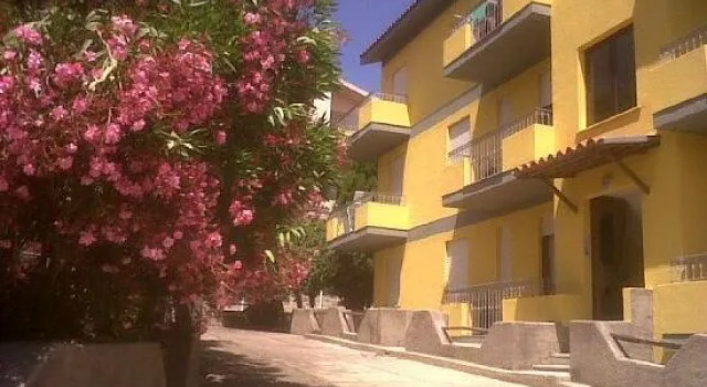Girasole Sul mare