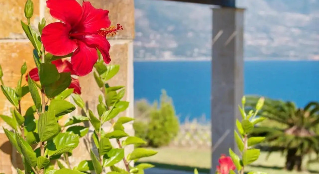 Коттедж Villa Dionysos, Spartia, Kefalonia