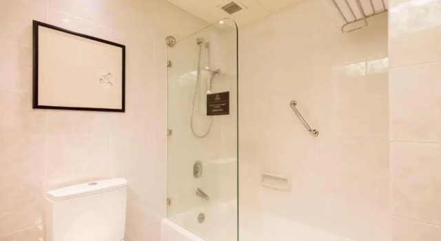 Двухместный номер Deluxe Regal Airport Hotel