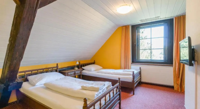 Двухместный номер Standard Hotel Bären