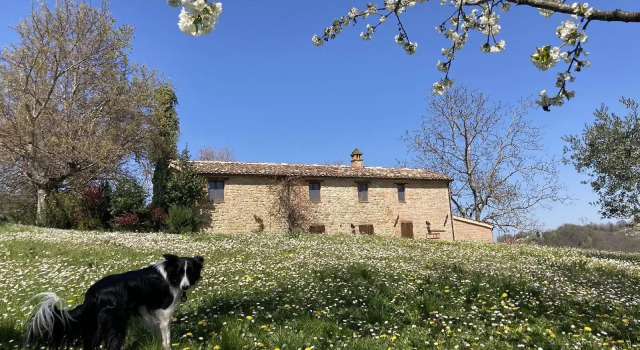 Il Nascondiglio - The Hideaway
