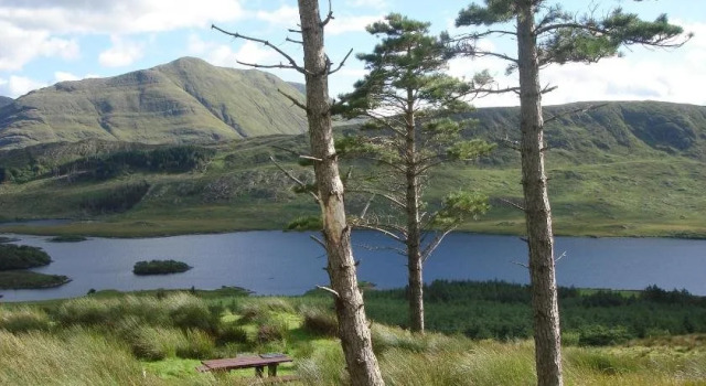Rosmo House B&B, Buchen Sie Hotel Westport 