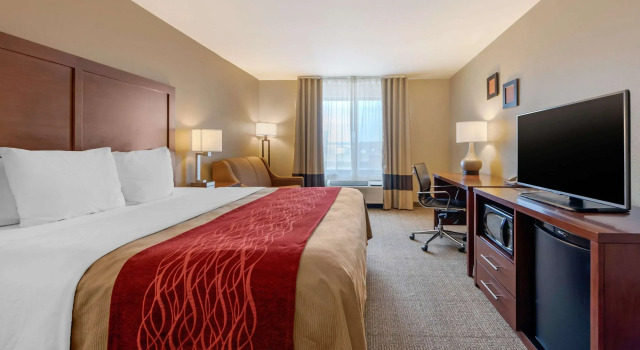 Двухместный номер Standard Comfort Inn Limon