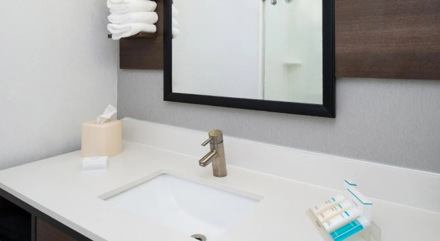 Двухместный номер Standard Hilton Garden Inn Baton Rouge Airport