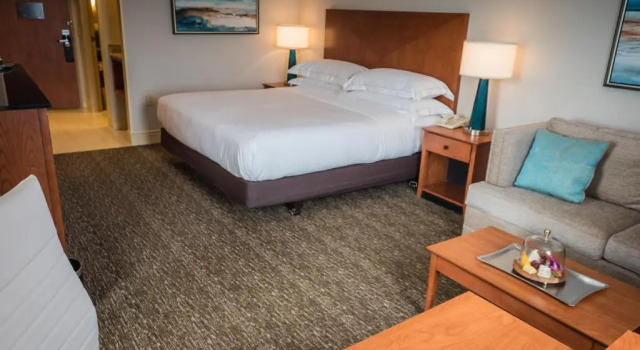 Полулюкс Hilton St. Petersburg Carillon Park
