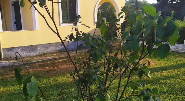 Nektar Apartments