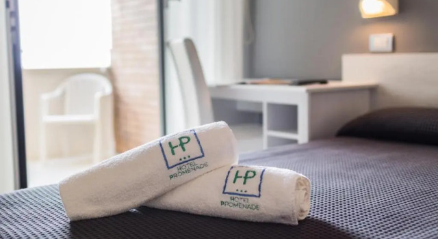 Трёхместный номер Standard Hotel Promenade