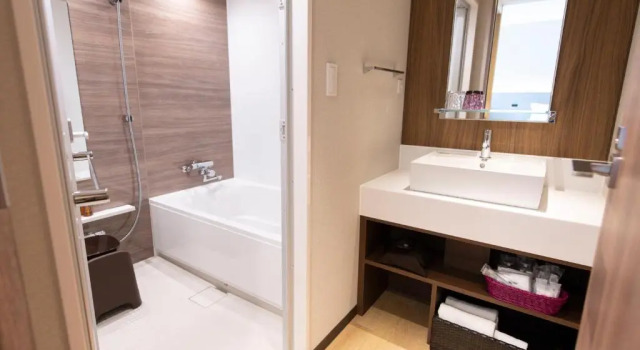 Двухместный Superior Asakusa Tobu Hotel