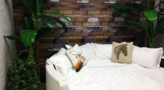 Wuhan U and I Theme Hotel, Varaa Hotelli Hong Shan 