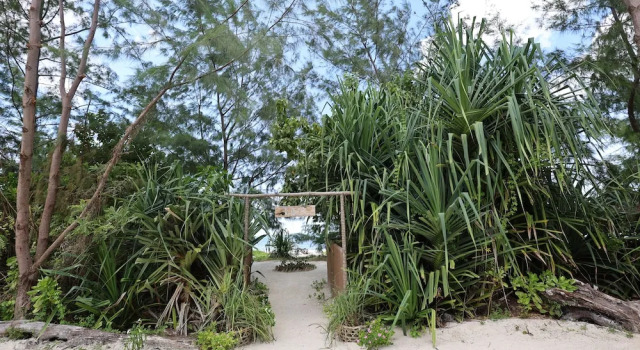 Вилла Kivuli Beach Resort Paje