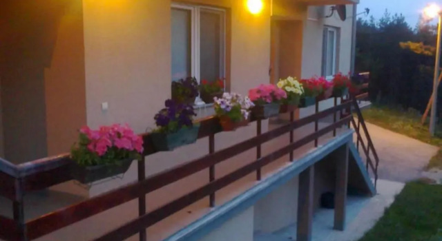Apartments Varga, Buchen Sie Ferienwohnung Divčibare Zentralserbien