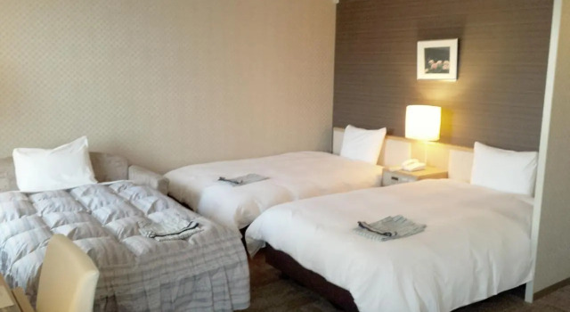 Двухместный номер Standard Hotel International House Osaka