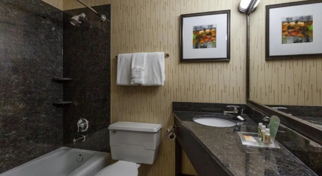 Номер Standard Holiday Inn Chicago North-Evanston by IHG