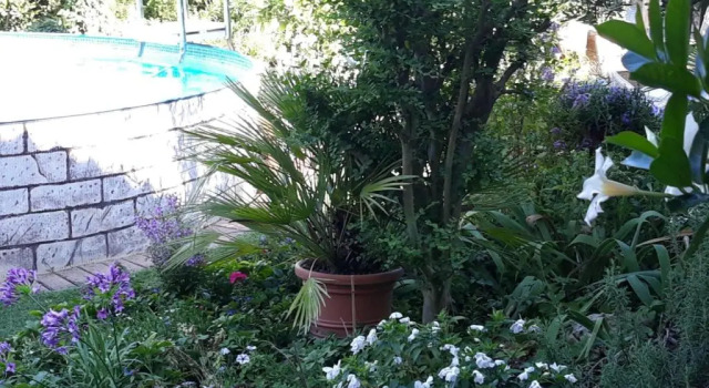 B&B San Valerio, Reserva ahora Bed & breakfast Occimiano Piamonte