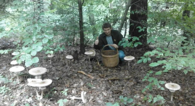 Апартаменты Ferienhaus 55 im Seepark Kirchheim