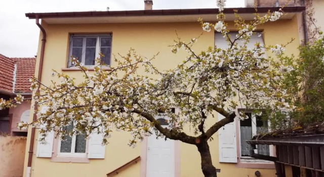Апартаменты c 1 комнатой Appartement climatisé avec jardin